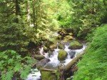 dsc02160