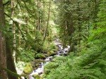 dsc02216