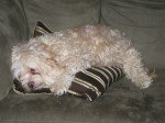Wilbur - now.  :)
