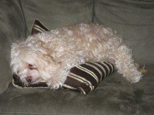 Wilbur - now.  :)