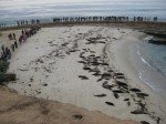 Seals