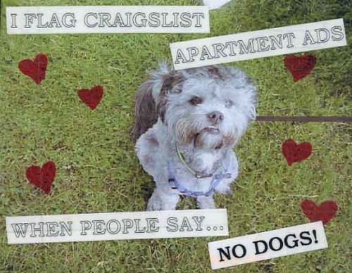 no-dogs
