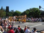 IMG_2129