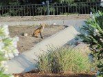 img_3146 img_3146
