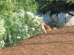 img_3148 img_3148