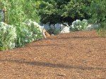 img_3149 img_3149