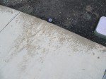 IMG_5504