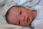 DSC00243 DSC00243