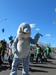 img_6927 img_6927