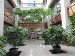 IMG_8467