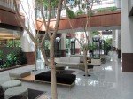 IMG_8479
