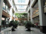 IMG_8481