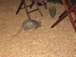 IMG_8562