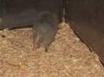 IMG_8563