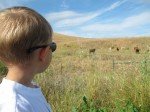 IMG_9781