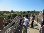img_9677
