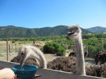 img_9687