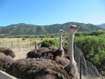 img_9702