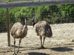 img_9708