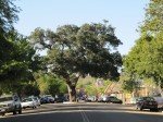 img_9755