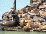 img_0151