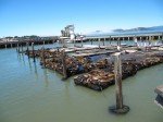 img_0167