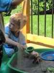 IMG_1987