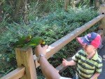 IMG_2212