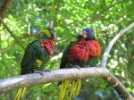 IMG_2221