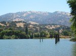 img_1242