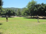 img_1385