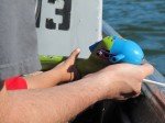 img_1565