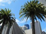 img_1631