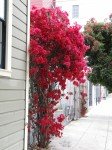 img_1724