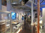 IMG_4513 IMG_4513