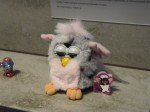 IMG_4527 IMG_4527