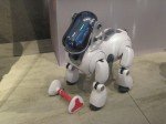 IMG_4530 IMG_4530