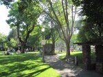 IMG_6571