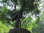 IMG_6573