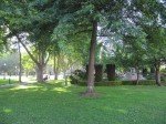 IMG_6585