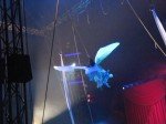 IMG_6690