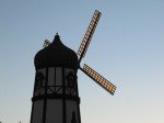 IMG_6799