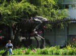 IMG_7487