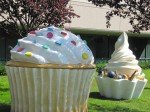 IMG_7511