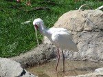 IMG_7533