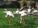 IMG_7534