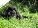 IMG_7545