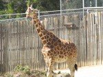 IMG_7554