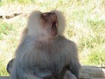 IMG_7567