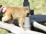 IMG_7574
